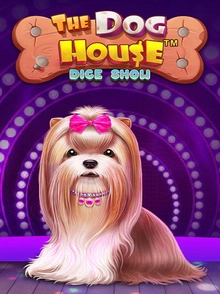 the dog house dice show